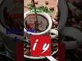 Can you name these coffee brands | #shorts #quiz