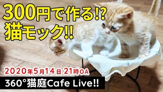 「300円で作る、超簡単、猫ハンモック！？」VR猫カフェ‼2020.5.14.21時～【360°4k】
