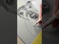 Mastering Fur Details in Pet Portraits | Drawing Tips for Beginners