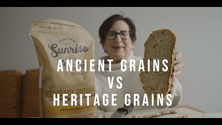 Ancient Grains Vs  Heritage Grains- Sunrise Flour Mill