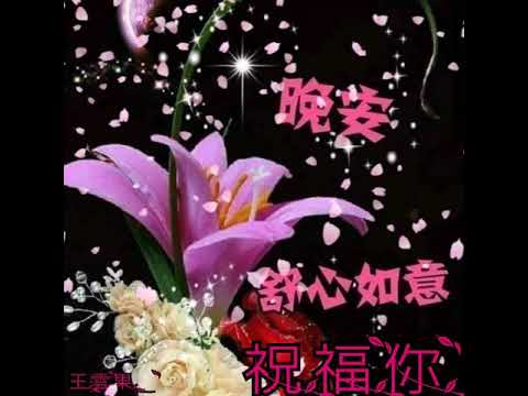 晚上好 Youtube 晚上好 Youtube