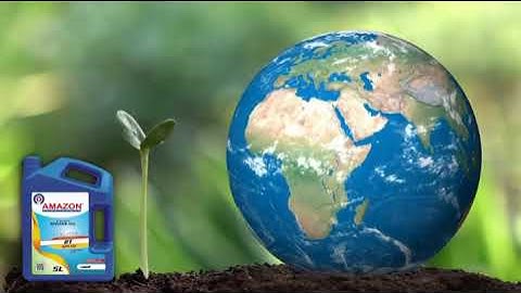 Amazon Lubricants Official Video