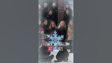 The Largest Snowflake Ever Recorded! ❄️ #Snowflake #Montana #NatureWonder