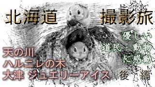 極寒じゃなかった北海道【真冬の撮影旅】後編