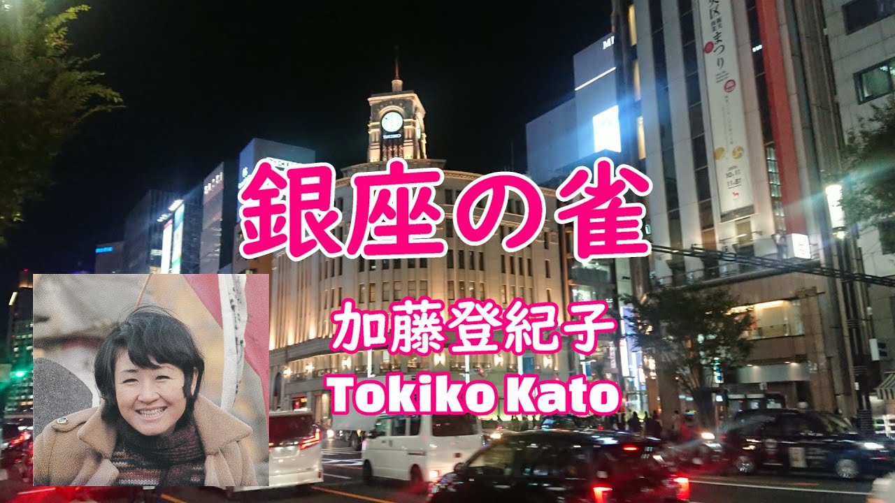 Pet Shop In Ginza Tokyo