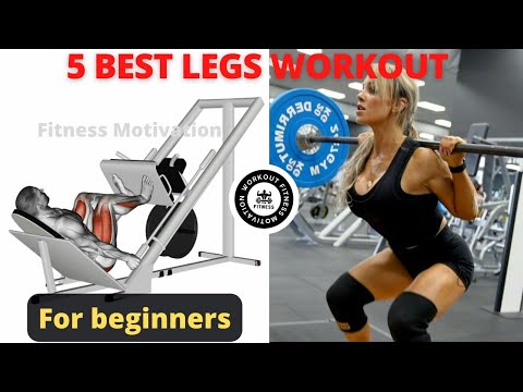 5 Perfect Leg Exercises For Beginners Get Huge Legs - Fitness ...