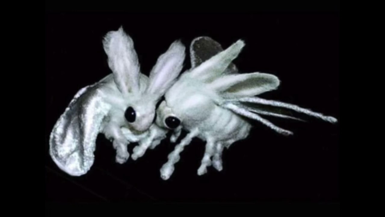 playboi carti + richie souf + art dealer type beat - 