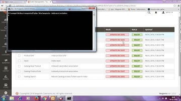 how to clear index management in magento 2 (L-4)