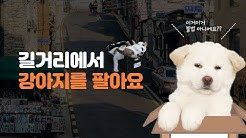 동물자유연대 - Youtube