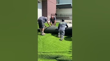 Luxury Artificial Grass Installation in Toronto and GTA #turf #turfgrass #shorts