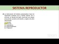 SISTEMA REPRODUCTOR