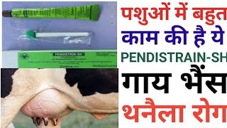 Pendistrin-sh cow buffalo mastitis uses/Intramammary infusion Antibiotics Pendistrin doses animal