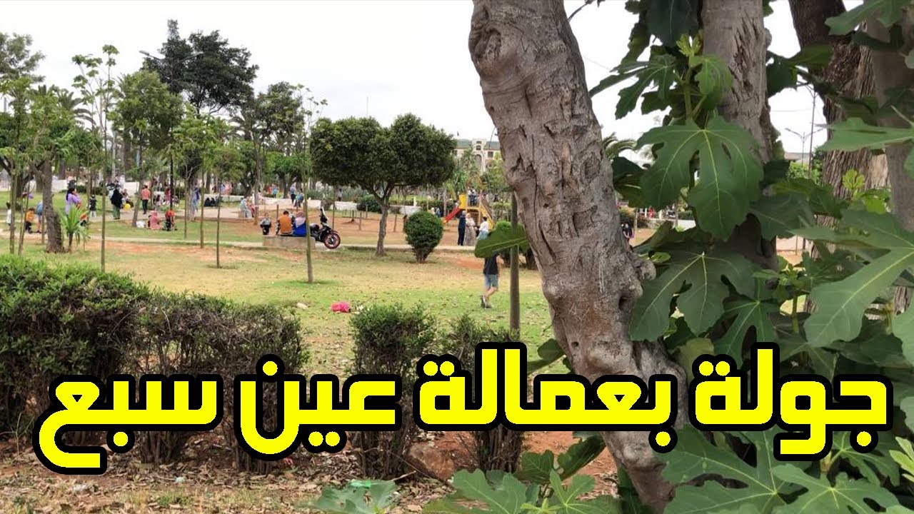 ﺟﻮﻟﺔ ﺑﻌﻤﺎﻟﺔ ﻋﻴﻦ ﺳﺒﻊ