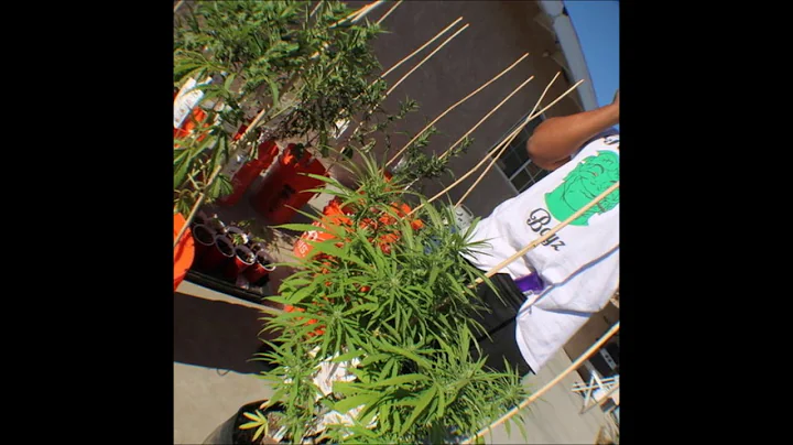 01. Eddy Baker & Purpdogg - Drug Dealer Dreams (Produced By Purpdogg)