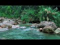 Mountain River Flowing Sounds 24/7 | Nature Sounds White Noise | Flowing Water for Deep Sleep, Relax