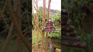 Homeschool Nature Study Craft: Christmas Tree Twig Ornament