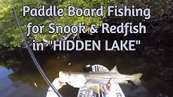 Paddle Board Fishing for Snook and Redfish [Secret Lake near Tampa, FL]