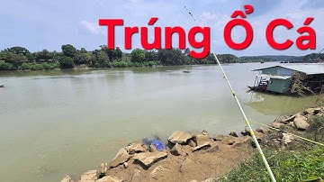 Câu cá Bãi  câu  Hiếu liêm  Bão  Cá..quá phê  luôn a em.