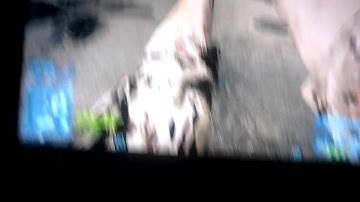 Battlefield 3 Gun above head BUG