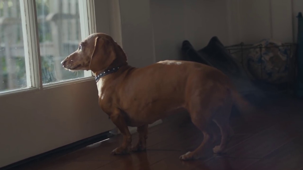 Ted Talk Project 2600