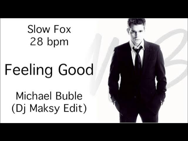 Slow Fox - Feeling Good
