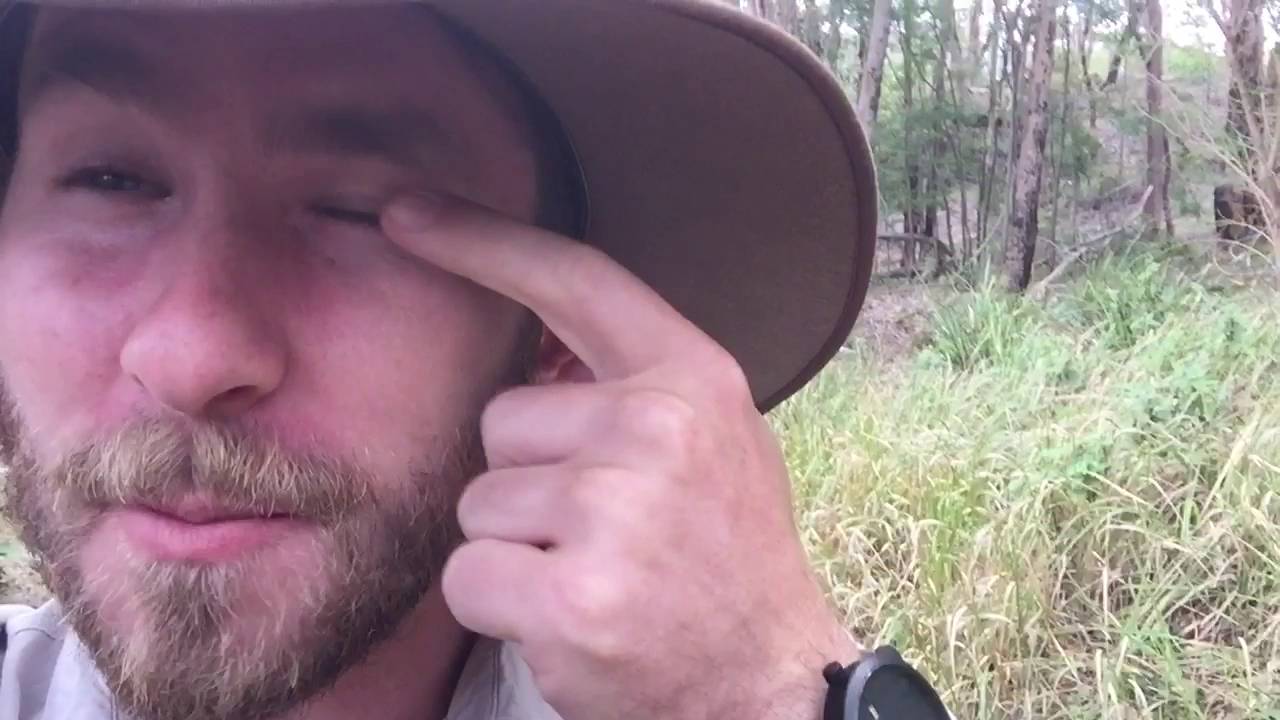 wildlife tea EYELASH MITES with Ranger Jamie