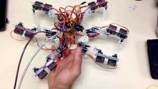 uSpiderBot tripod gait