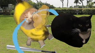 BANANA CAT 🍌🐱 BAD LUCK 😿 VIDEOS 12 ( 2 MINUTES )