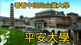 看看中國的企業大學——平安大學 by 刚讲白相相 339 views 3 days ago 11 minutes, 15 seconds