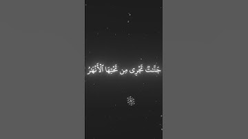 سورة آل عمران آية ١٤ القارئ#محمد_اللحيدان #راحة_نفسية #راحة #صلو_على_النبي #القرآن_الكريم