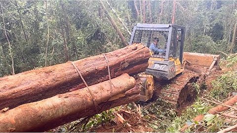The most Difficult job Done by the Dozer Komatsu D68ess pulling logs out of forest