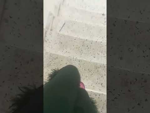 زيرو تلت تسعات