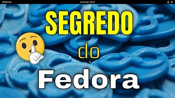 O que fazer depois de instalar o Fedora?