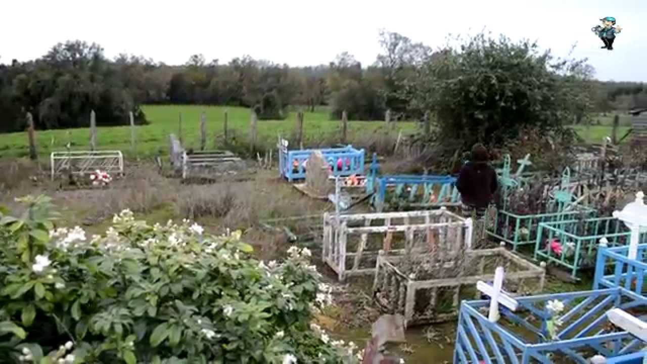 Recorrido Patrimonial Río Bueno