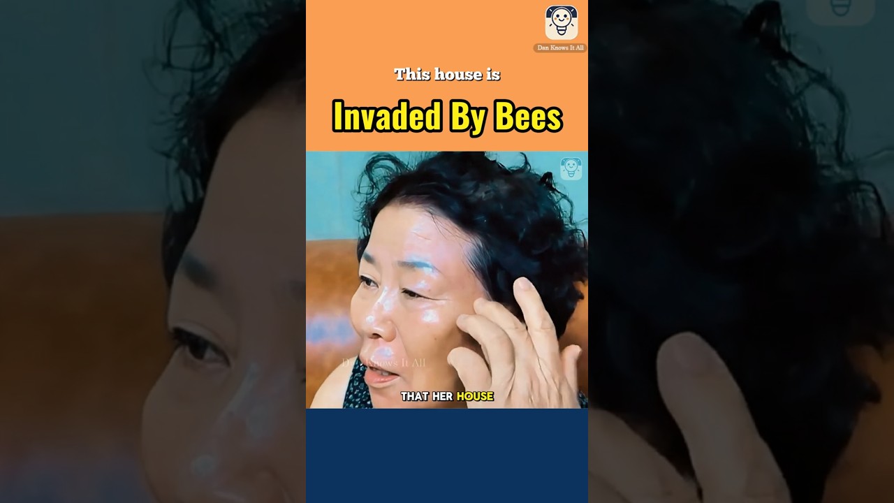 Этот дом захвачен пчелами