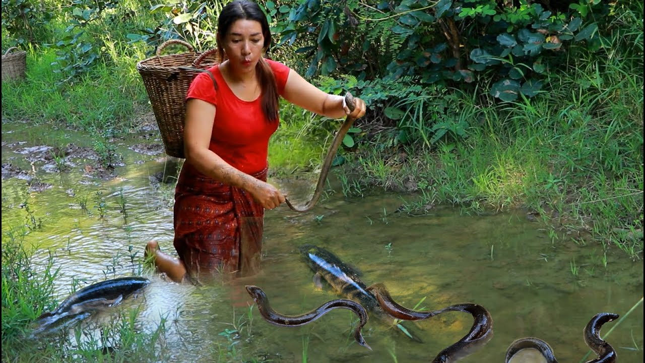 Amazing catching ell and fish of survival- Grilled ell and crispy fish ...