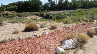 Antiguo paraje de La Pasto Verde (Neuquén)