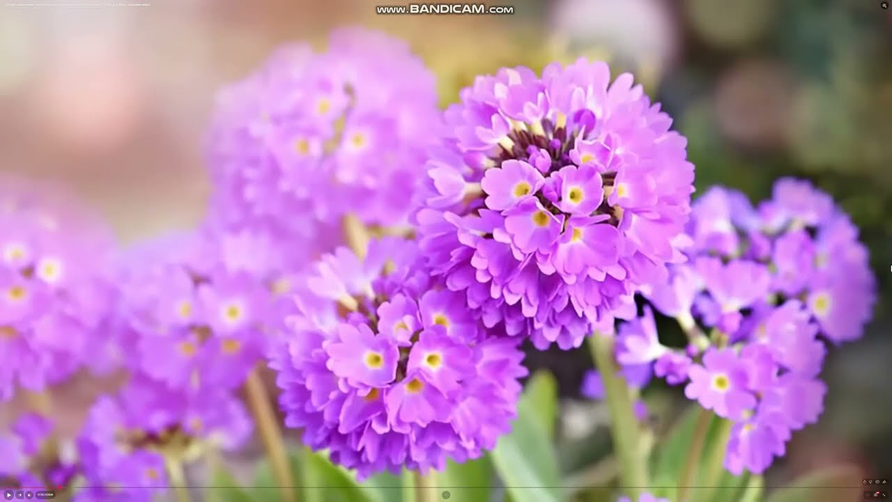 Обращение к инвесторам !