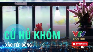 Món ngon: Củ hủ Khóm xào với tép đồng | VTV CẦN THƠ - KẾT NỐI MIỀN TÂY