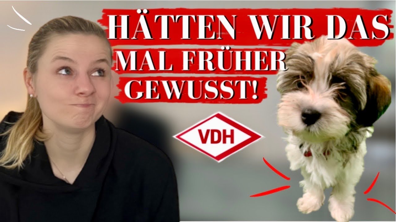 Patellaluxation - MÖGLICHE Ursachen Teil 2