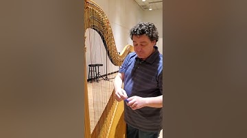 Pedal harp bass wire nut buzz fix with cardboard