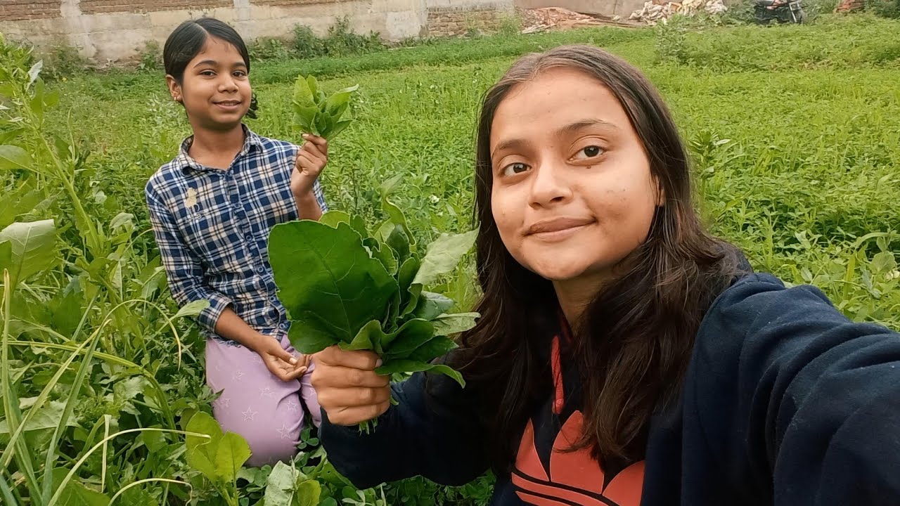 Anannya Ne Thodi Khet Me se Palak☺️