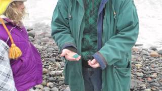 Beachcombing low tide rattling rocks