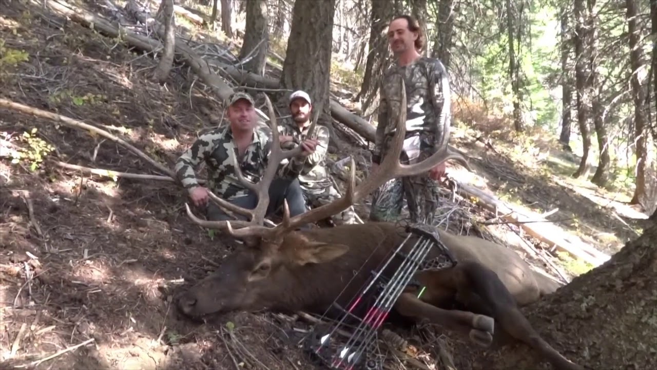 Archery Elk YouTube