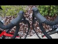 Giant TCR Ultegra Di2 vs Mechanical - Quick comparison