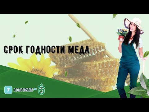 Срок годности меда