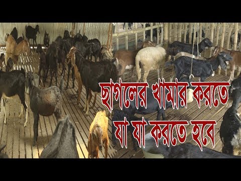 ভিডিও: ক্রসের ব্র্যান্ড: বৈশিষ্ট্য, প্রকার, বর্ণনা