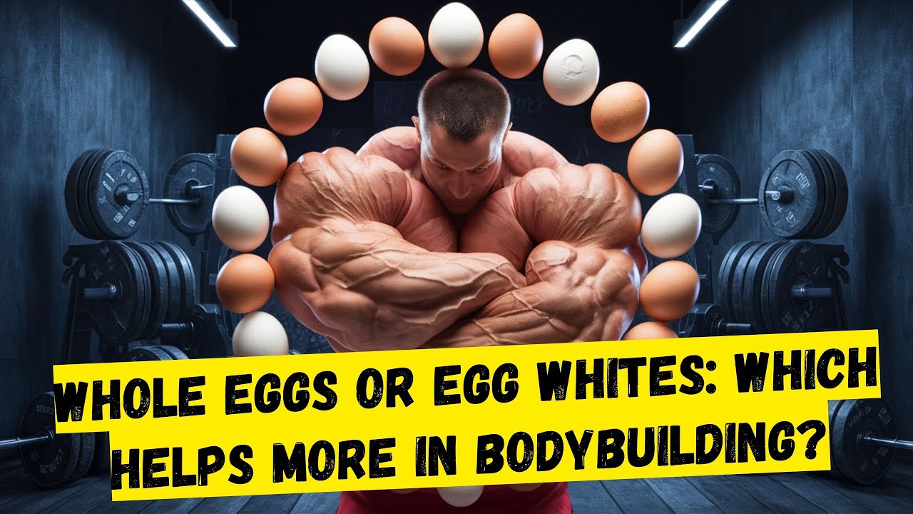 WHOLE EGGS OR EGG WHITES IDEAL CHOICE FOR BODYBUILDING? YouTube