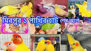 সেরা কিছু বাচ্চাসহ পাখি কিনুন কমদামে।Mirpur 1 Pakhir Hat। মিরপুর ১ পাখির হাট। Bird Price Bangladesh