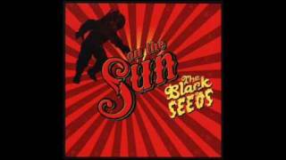 The Black Seeds - Lets get down chords